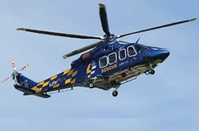 leorescue2